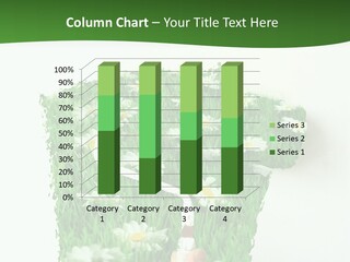 Woodlands Canada Peaceful PowerPoint Template