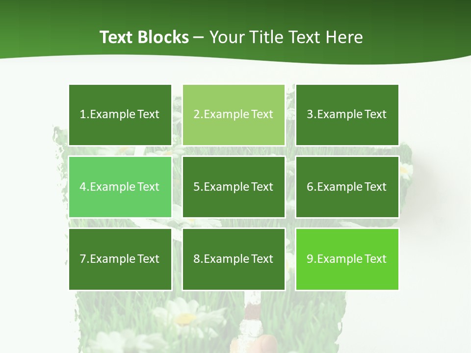 Woodlands Canada Peaceful PowerPoint Template