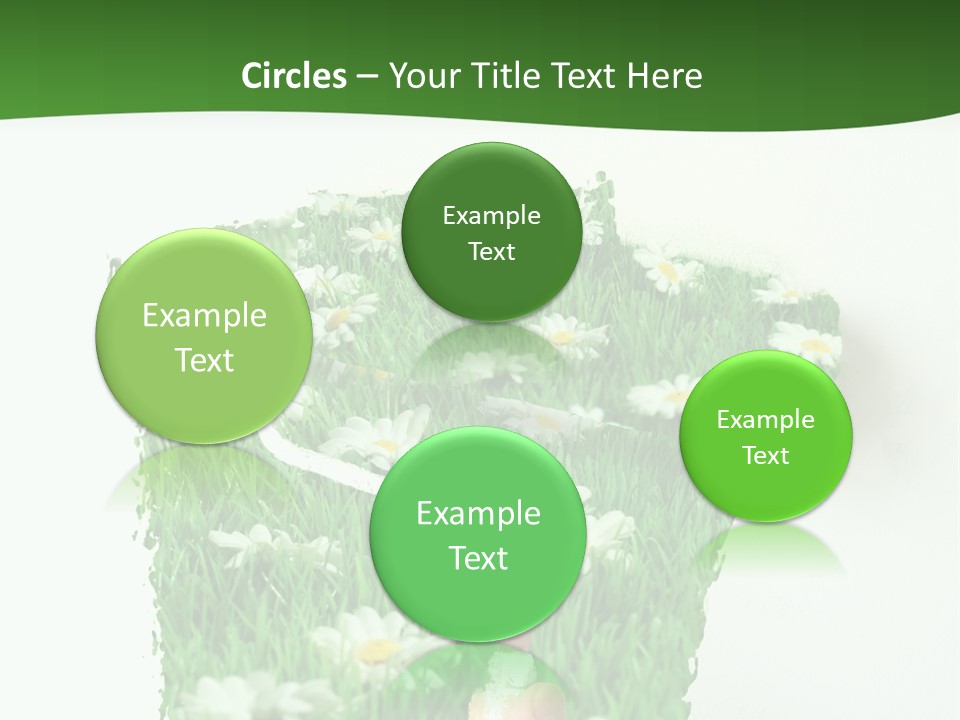 Woodlands Canada Peaceful PowerPoint Template