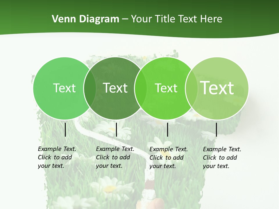 Woodlands Canada Peaceful PowerPoint Template