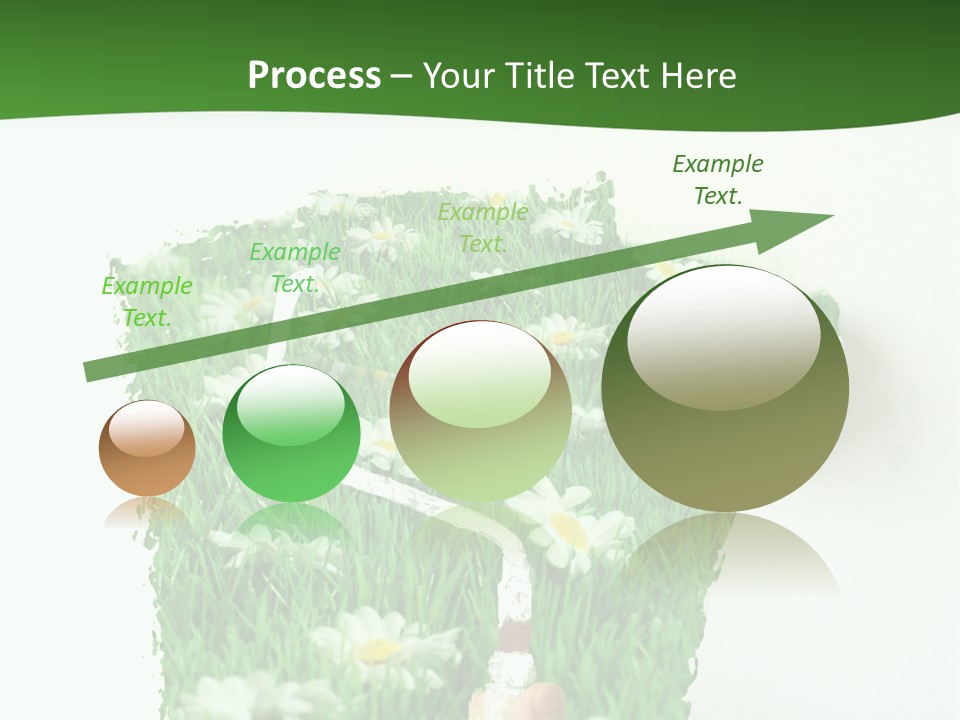 Woodlands Canada Peaceful PowerPoint Template