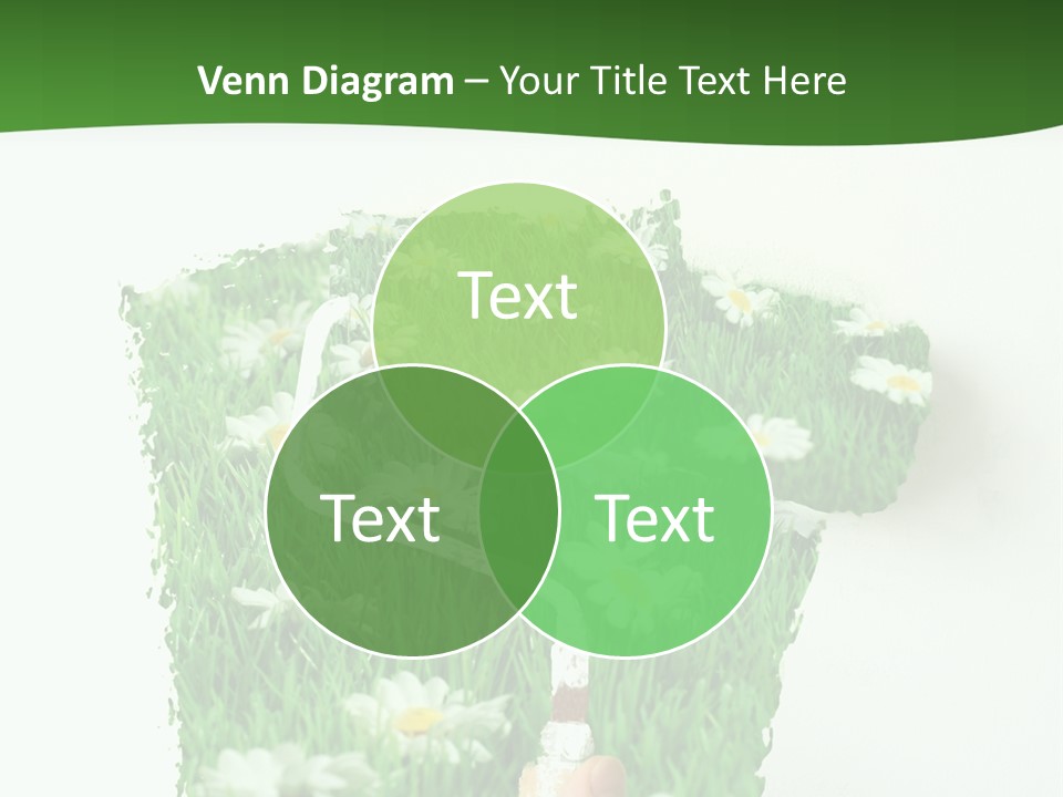 Woodlands Canada Peaceful PowerPoint Template