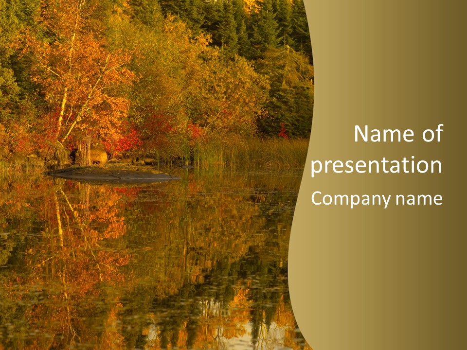 Woodlands Canada Peaceful PowerPoint Template