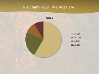 Woodlands Canada Peaceful PowerPoint Template