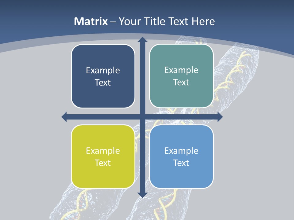Medical Xray Strand PowerPoint Template