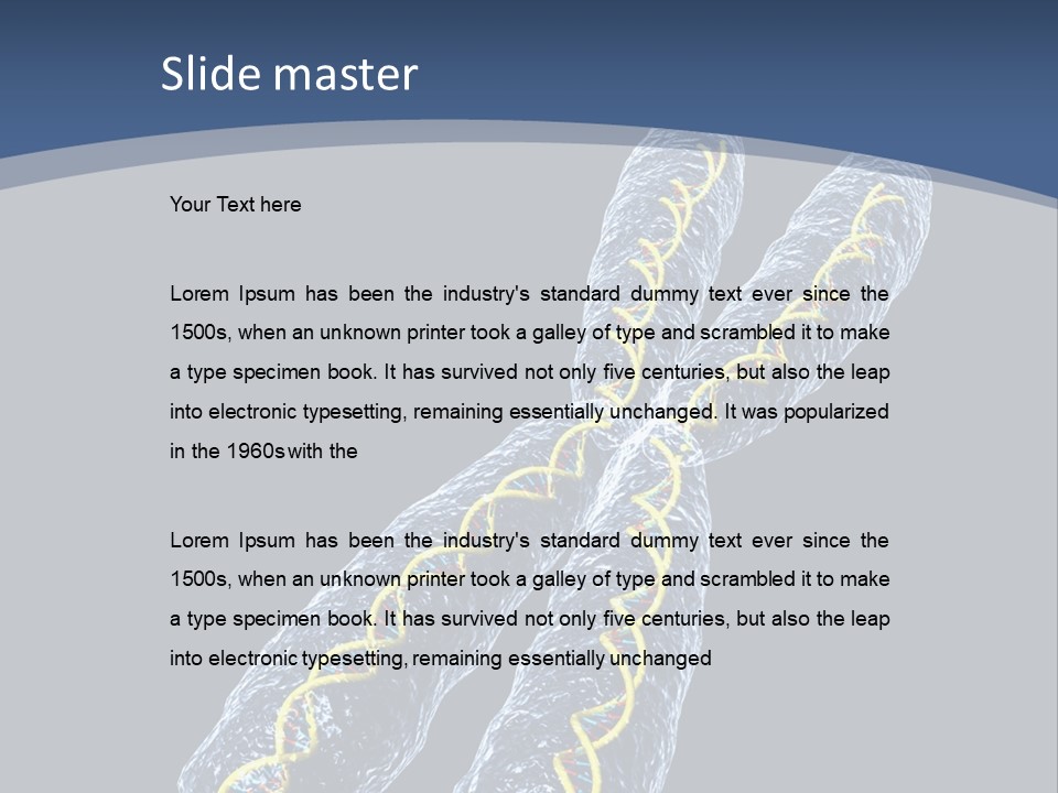 Medical Xray Strand PowerPoint Template
