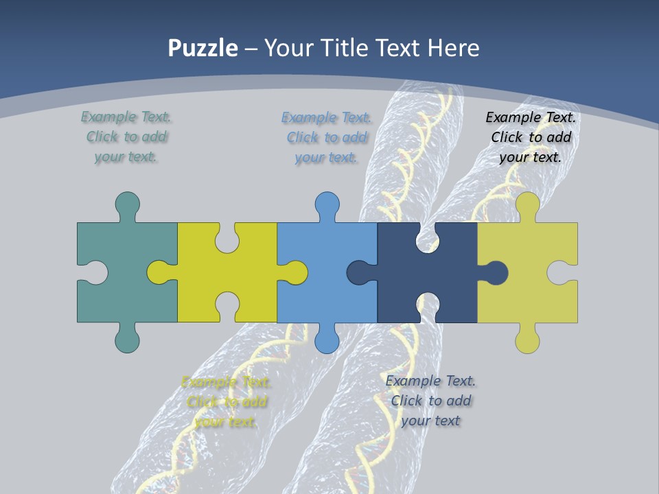Medical Xray Strand PowerPoint Template