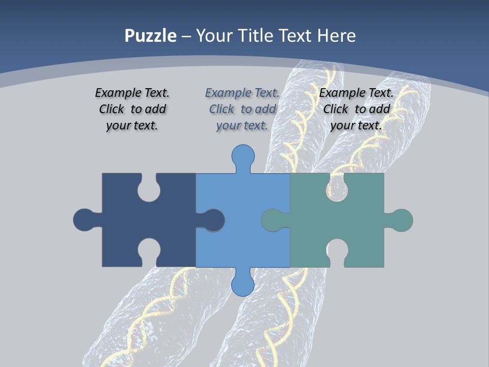 Medical Xray Strand PowerPoint Template
