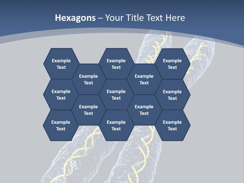 Medical Xray Strand PowerPoint Template