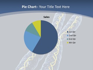 Medical Xray Strand PowerPoint Template