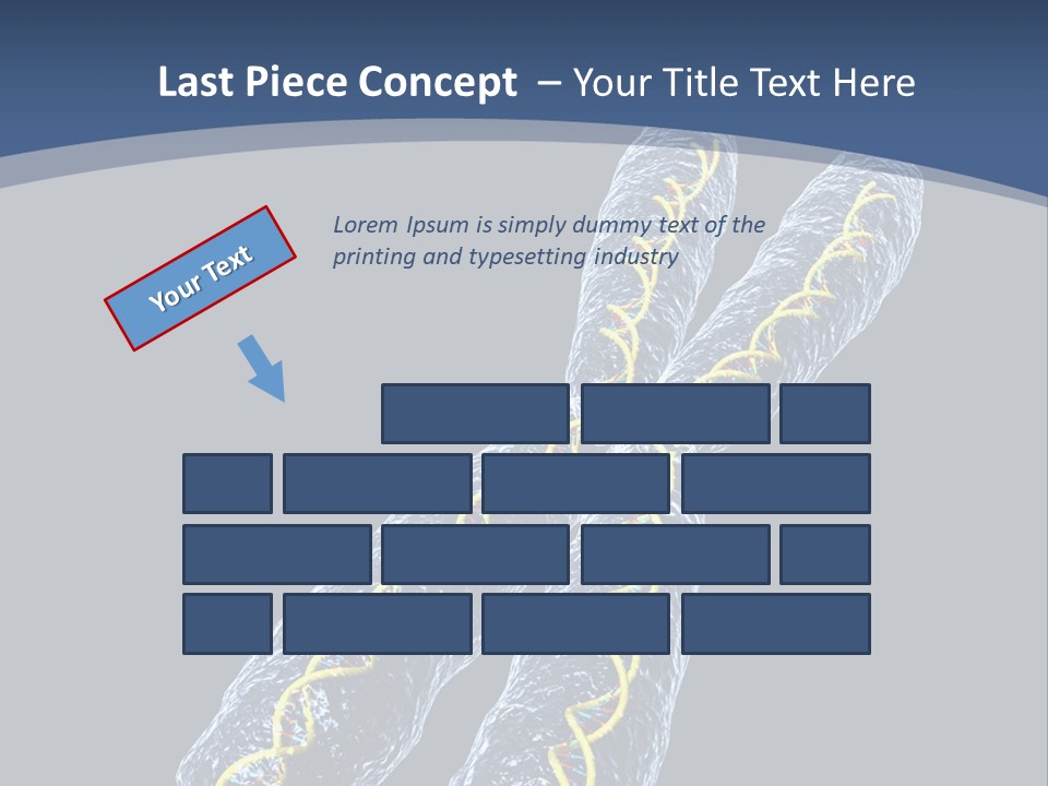 Medical Xray Strand PowerPoint Template