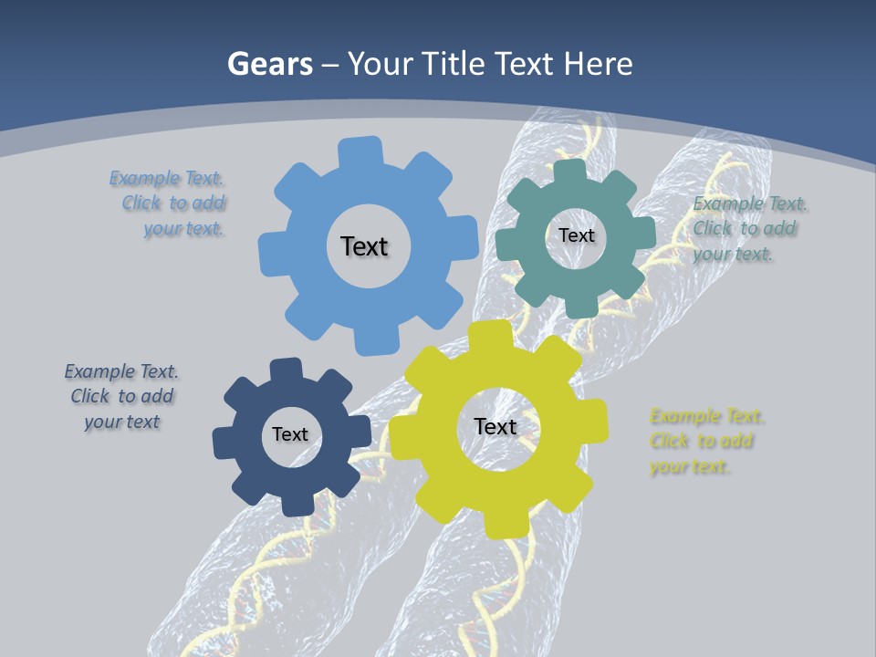 Medical Xray Strand PowerPoint Template