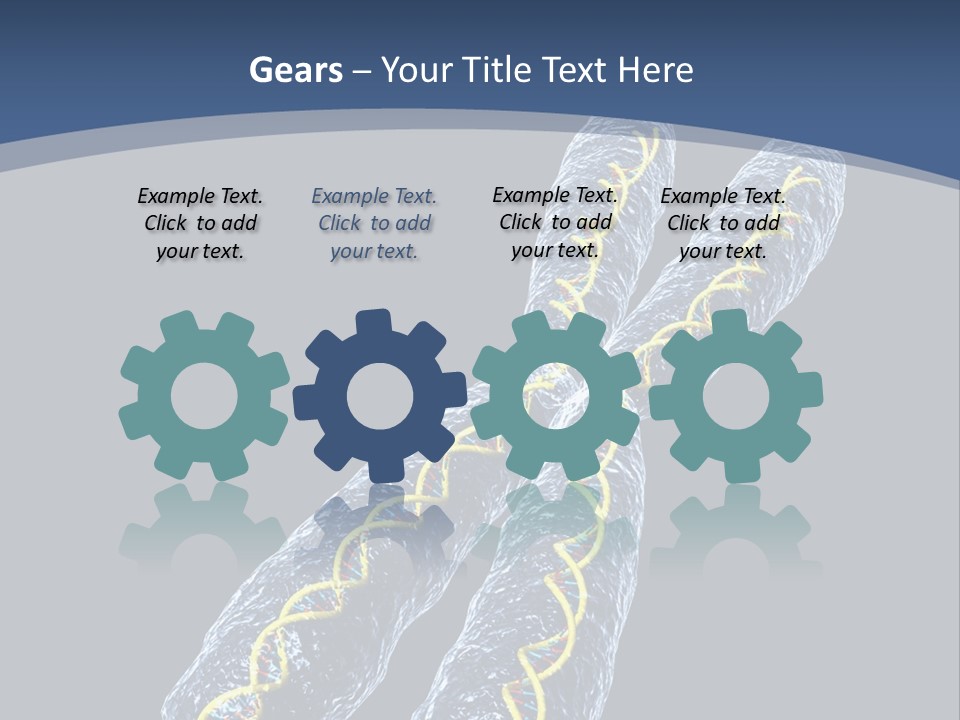 Medical Xray Strand PowerPoint Template