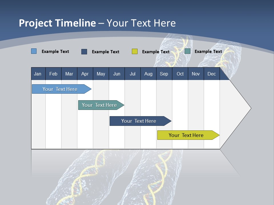 Medical Xray Strand PowerPoint Template