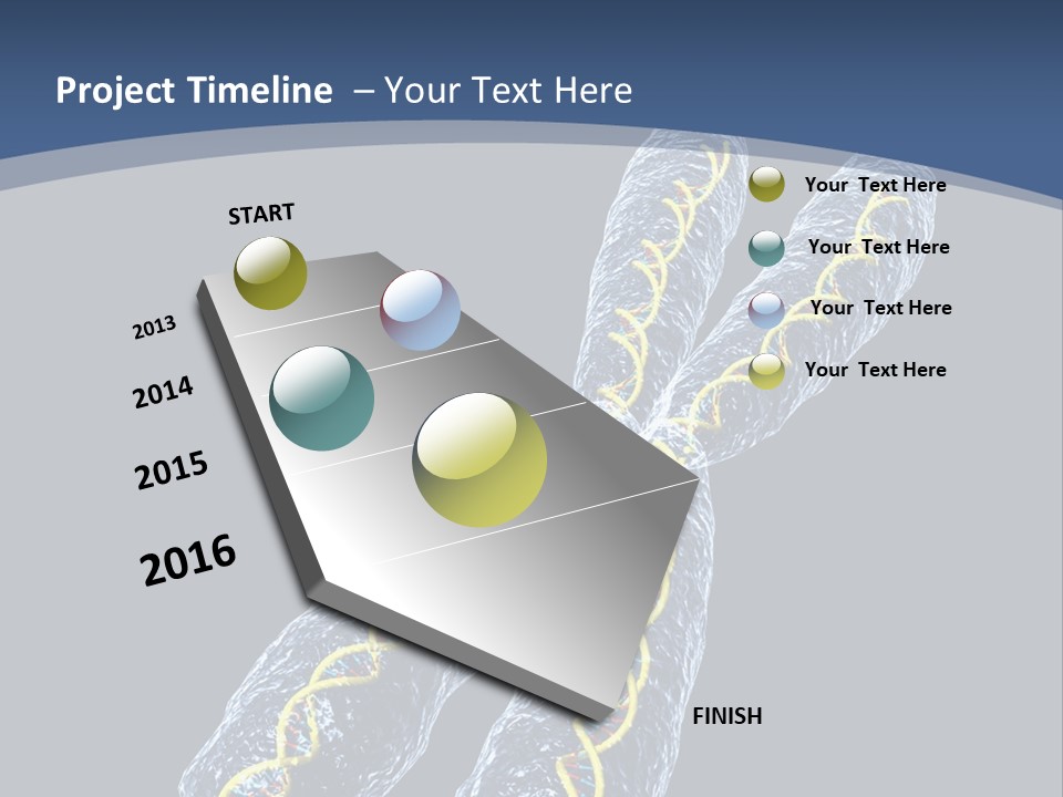 Medical Xray Strand PowerPoint Template