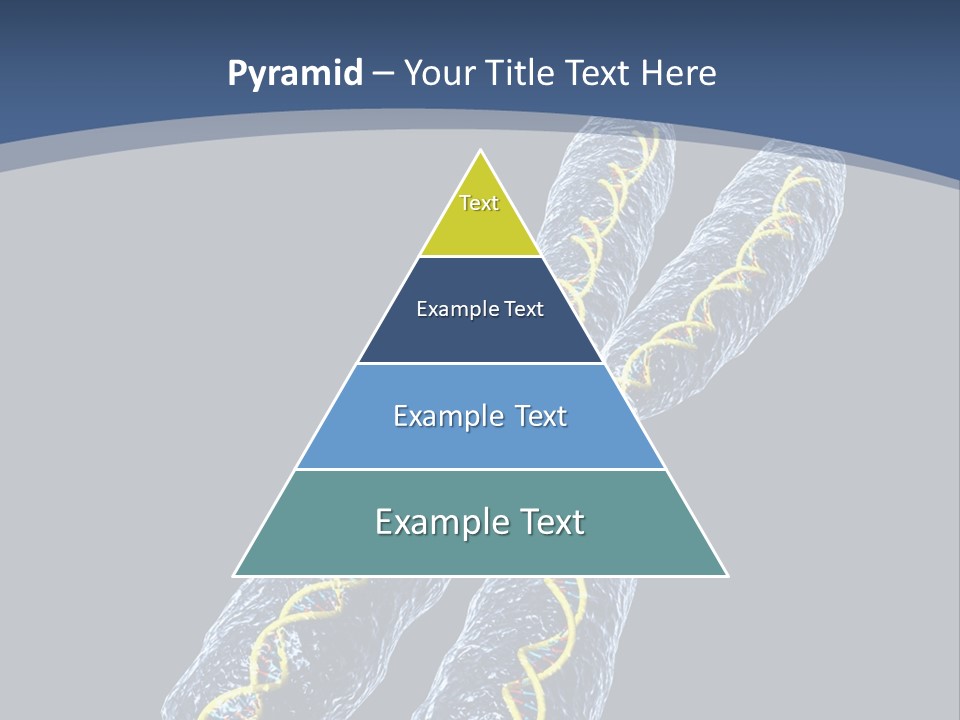 Medical Xray Strand PowerPoint Template