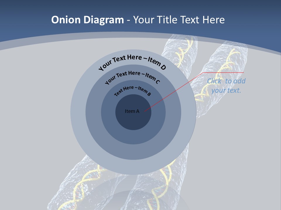 Medical Xray Strand PowerPoint Template