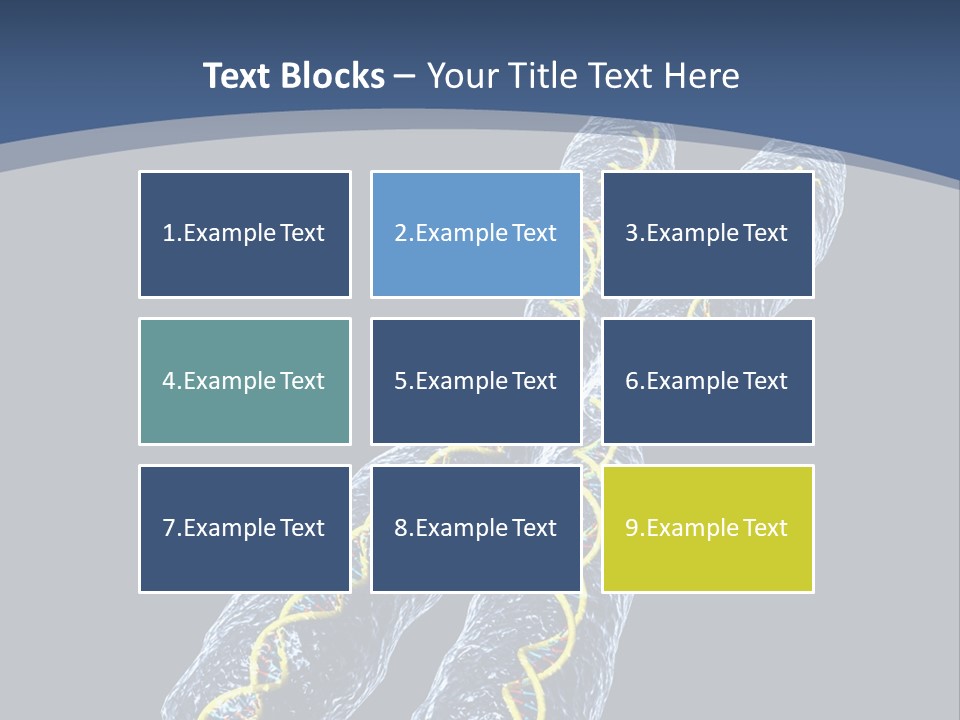 Medical Xray Strand PowerPoint Template