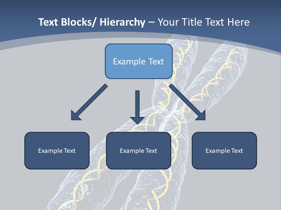 Medical Xray Strand PowerPoint Template