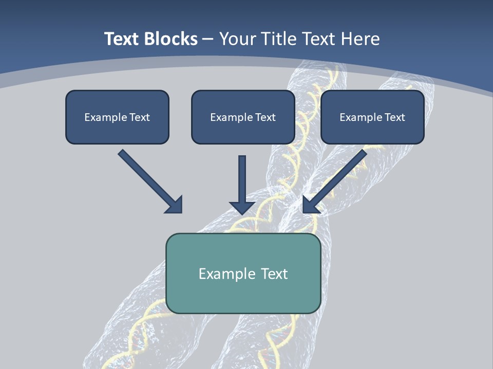 Medical Xray Strand PowerPoint Template