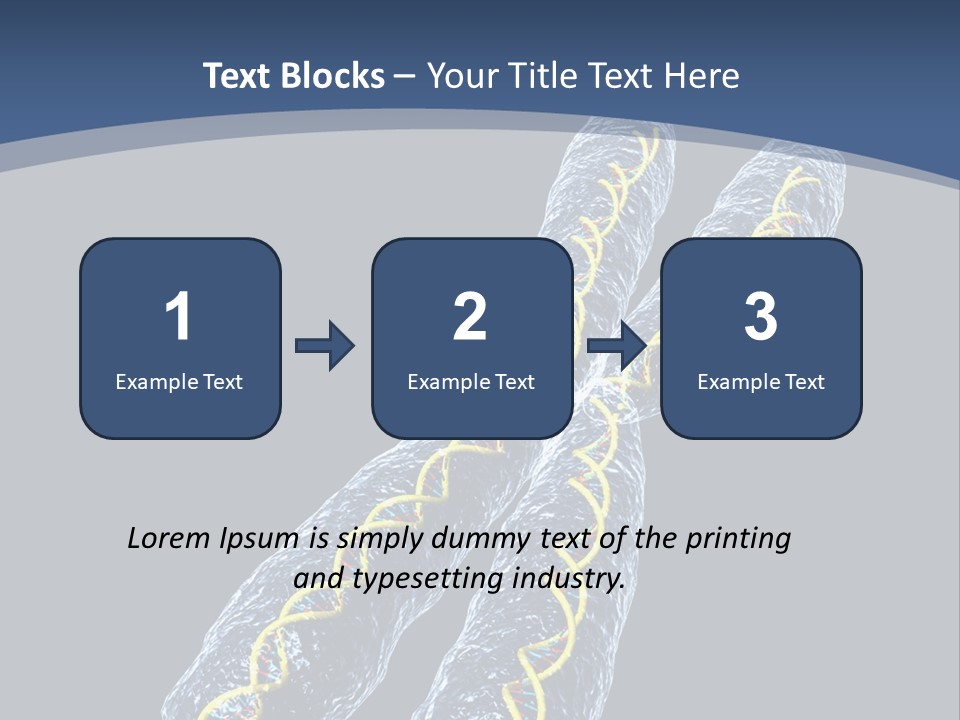 Medical Xray Strand PowerPoint Template