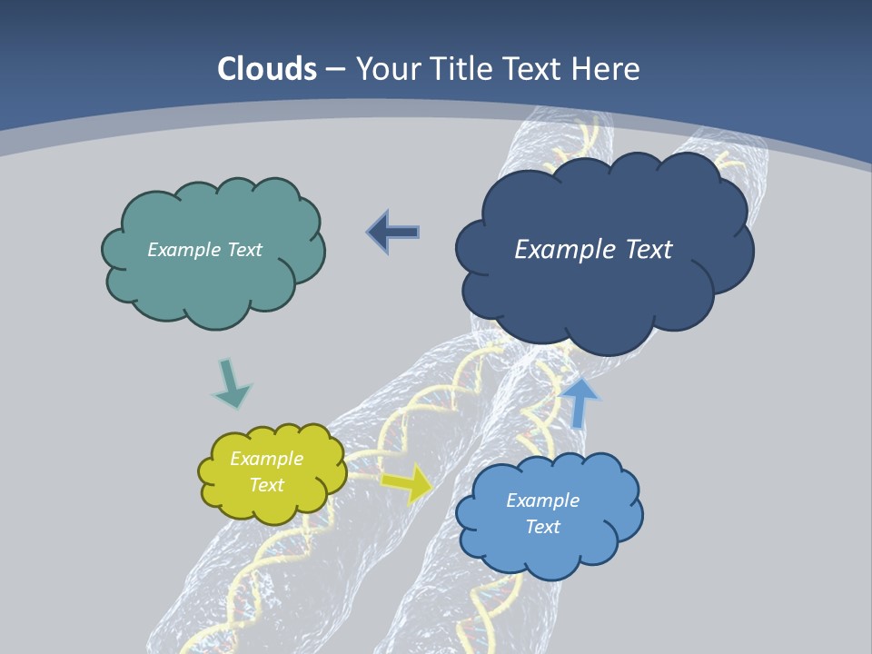 Medical Xray Strand PowerPoint Template
