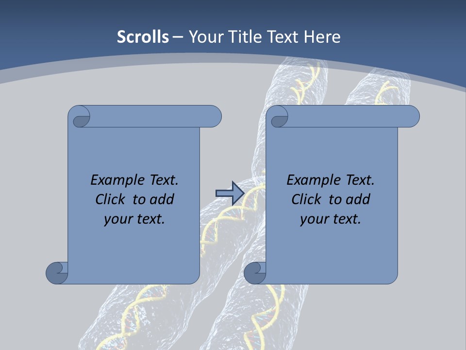 Medical Xray Strand PowerPoint Template