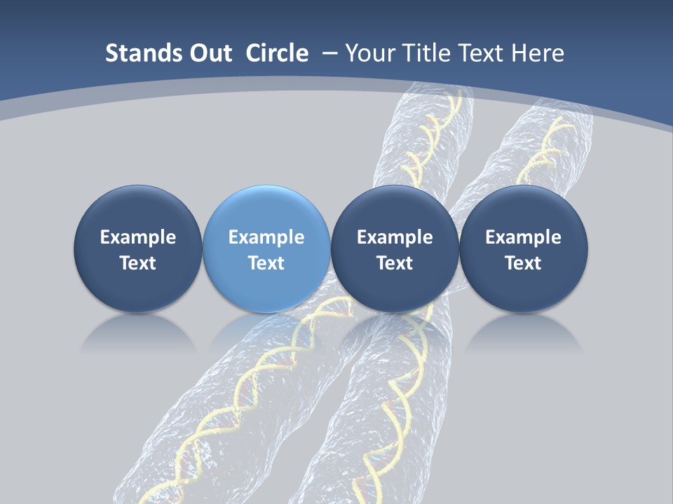 Medical Xray Strand PowerPoint Template