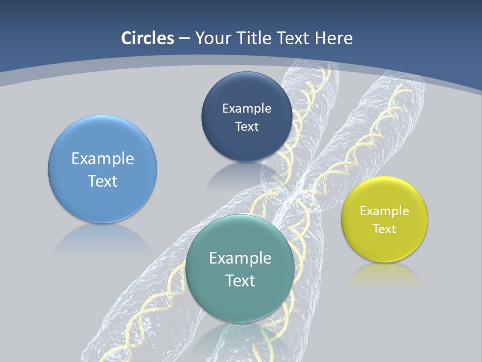 Medical Xray Strand PowerPoint Template