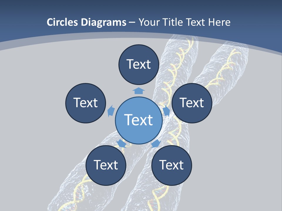 Medical Xray Strand PowerPoint Template