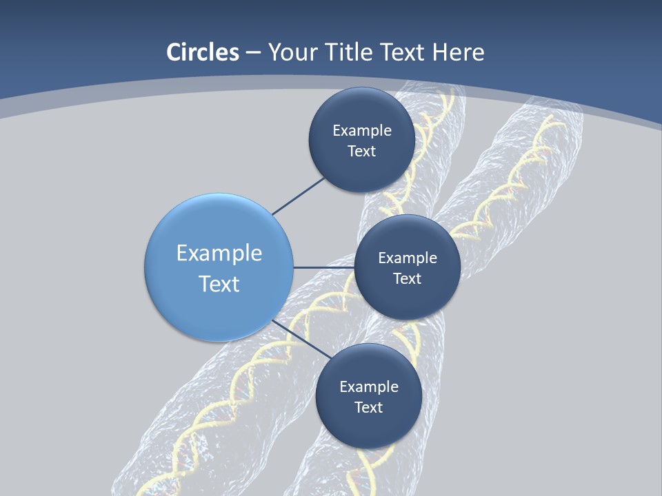 Medical Xray Strand PowerPoint Template