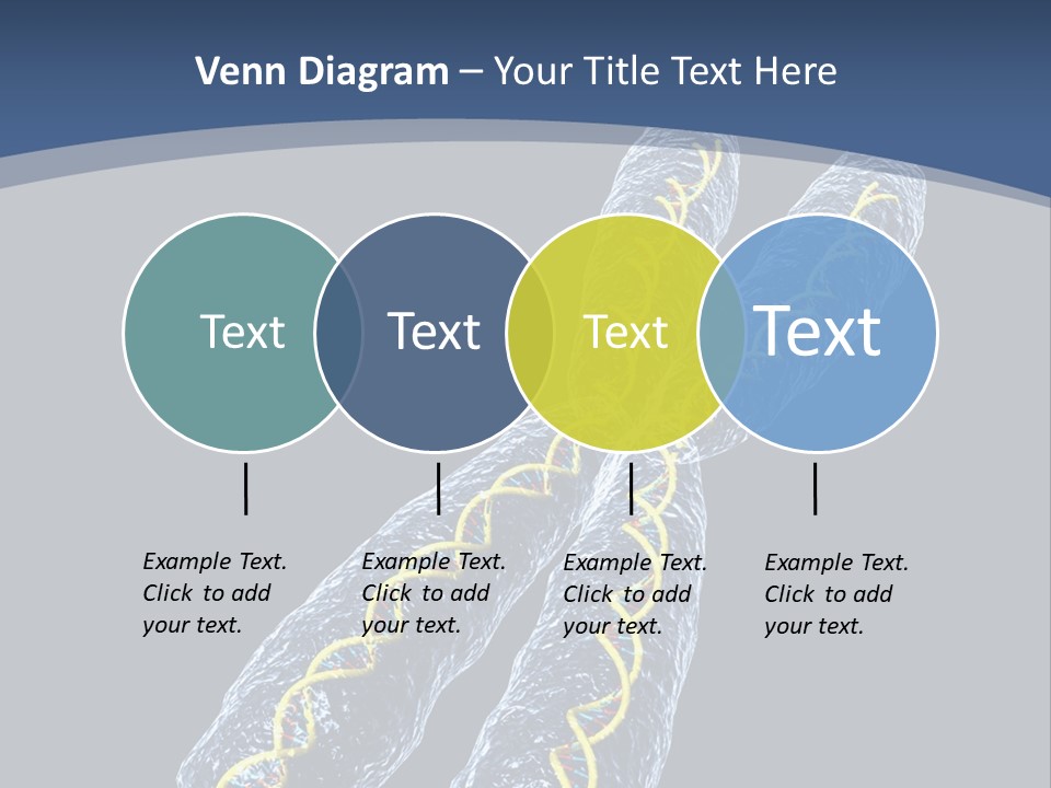 Medical Xray Strand PowerPoint Template