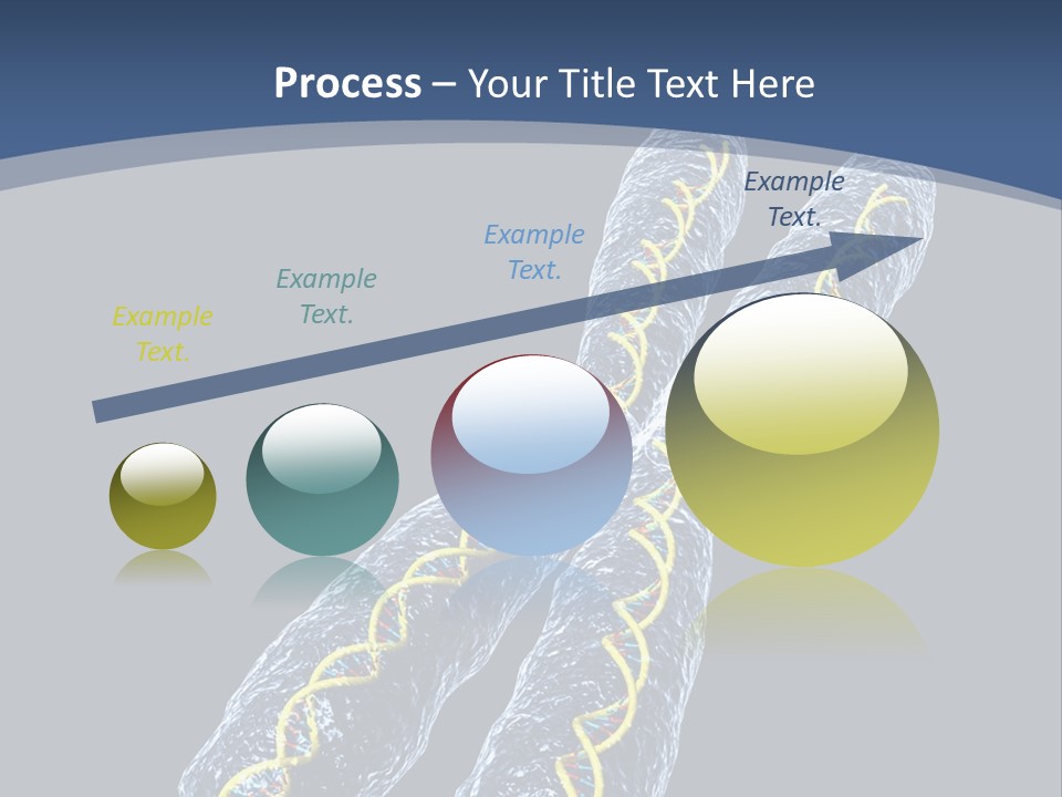 Medical Xray Strand PowerPoint Template