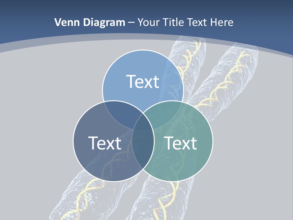 Medical Xray Strand PowerPoint Template