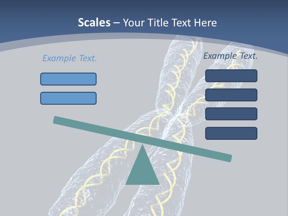 Medical Xray Strand PowerPoint Template