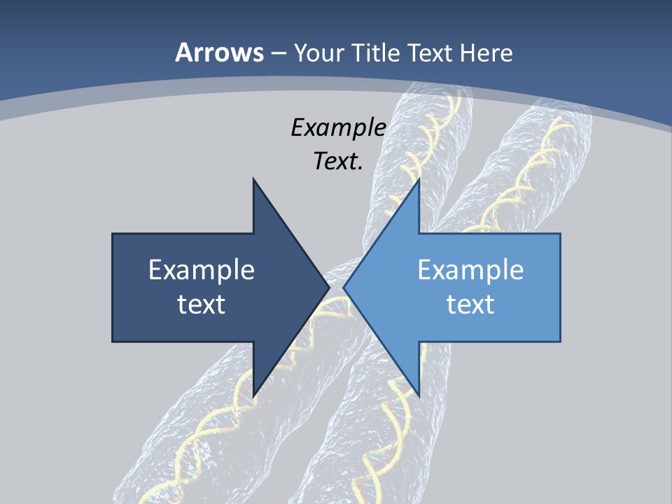 Medical Xray Strand PowerPoint Template