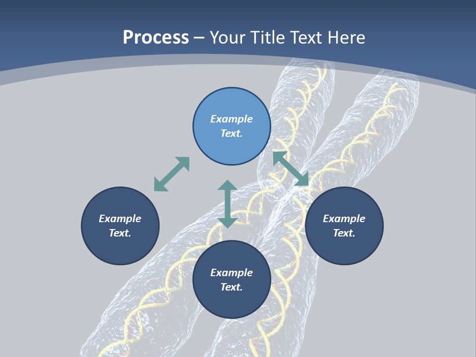 Medical Xray Strand PowerPoint Template