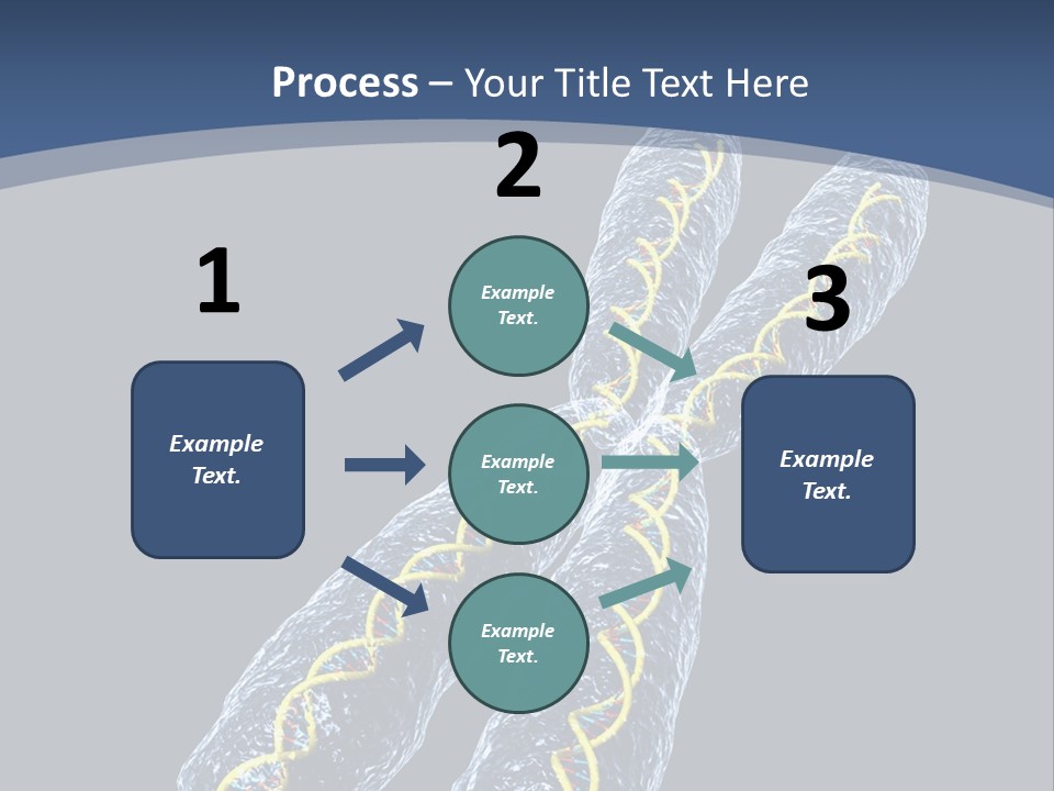 Medical Xray Strand PowerPoint Template