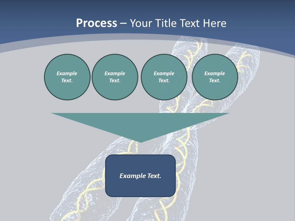 Medical Xray Strand PowerPoint Template