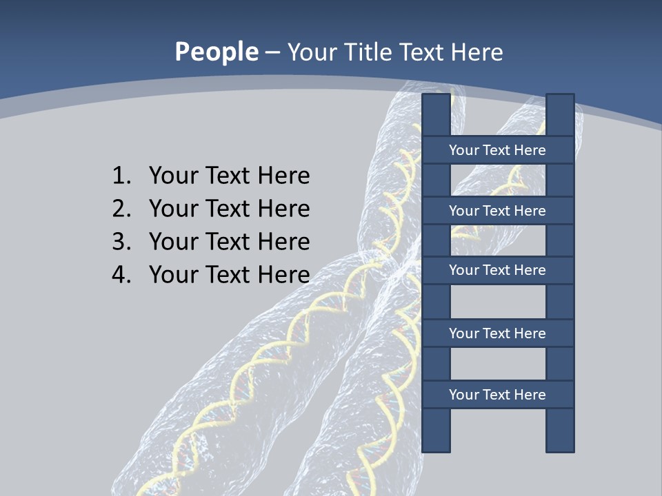 Medical Xray Strand PowerPoint Template