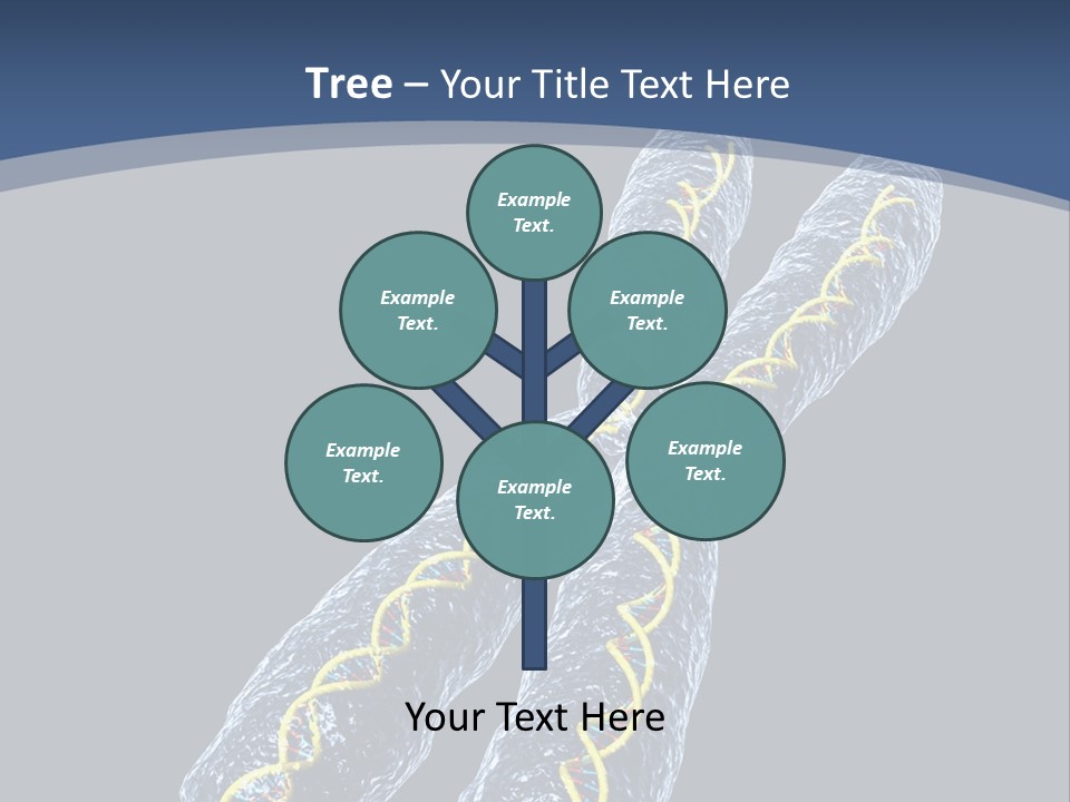 Medical Xray Strand PowerPoint Template