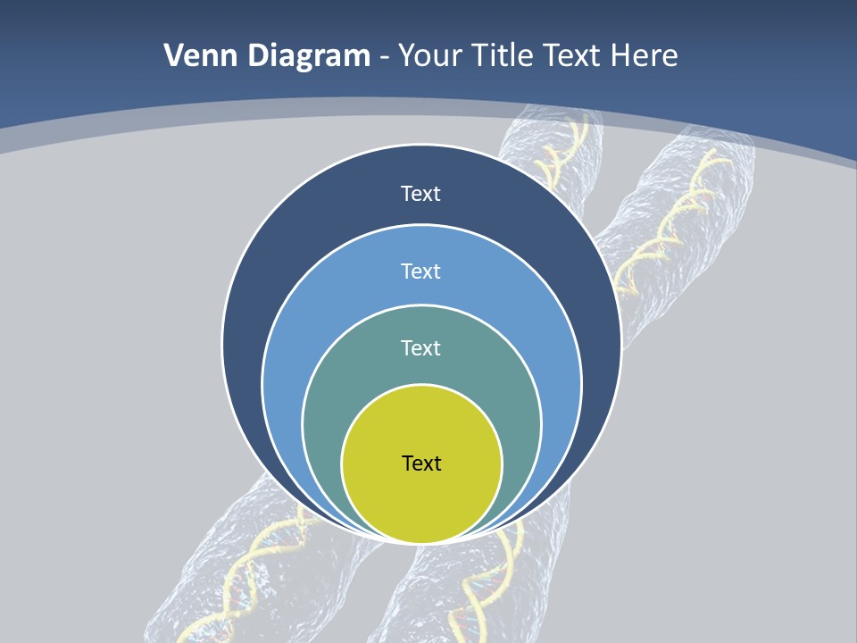 Medical Xray Strand PowerPoint Template