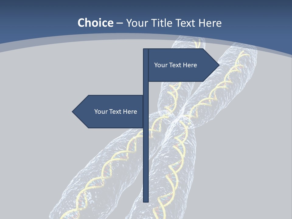 Medical Xray Strand PowerPoint Template