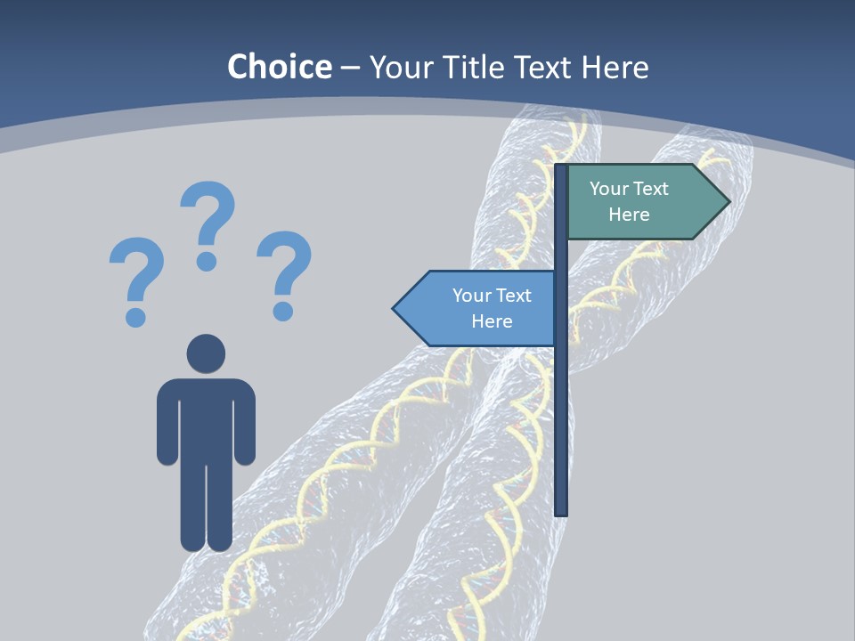 Medical Xray Strand PowerPoint Template
