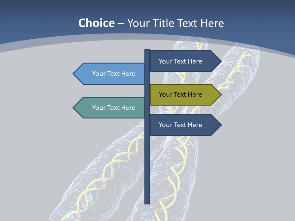 Medical Xray Strand PowerPoint Template