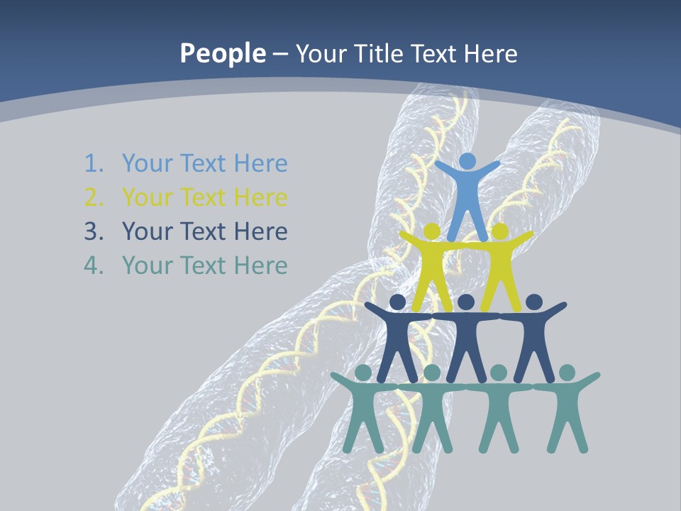 Medical Xray Strand PowerPoint Template