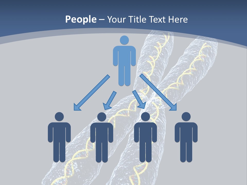 Medical Xray Strand PowerPoint Template