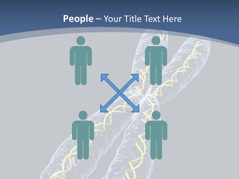Medical Xray Strand PowerPoint Template