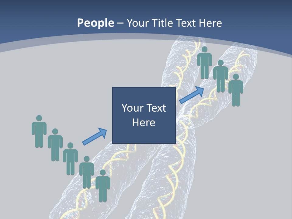 Medical Xray Strand PowerPoint Template