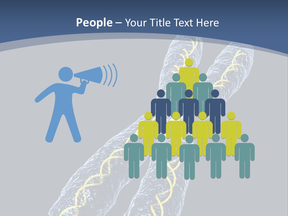 Medical Xray Strand PowerPoint Template